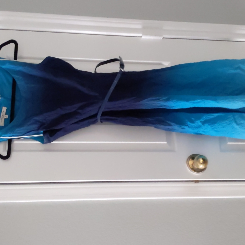 Size 8 Blue Ombre Belted Dress